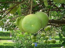 ຜົນງານການລົບລ້າງຄວາມອຶດຫິວ ຫລຸດຜ່ອນຄວາມທຸກຍາກຂອງຫວຽດນາມ 2011